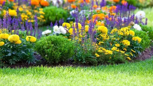 Как удалить траву с клумб: простые хитрости от опытных садоводов