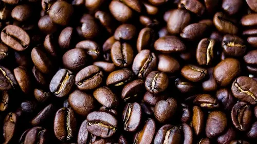 Как кофе влияет на ваши растения — полезные советы для сада