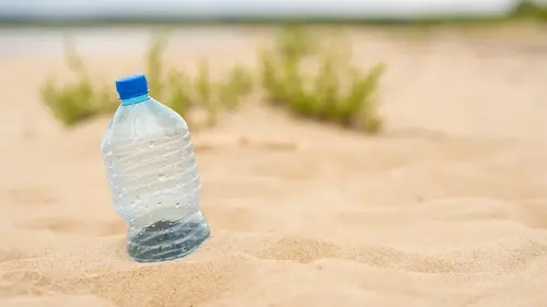 Не выбрасывайте пластиковые бутылки: три способа использования на даче без денежных затрат