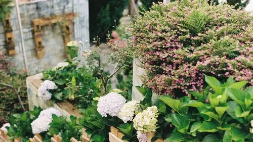 Как зрительно увеличить маленький двор: два простых метода ландшафтного дизайна