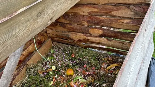 Что можно бросать в компостную яму, а что — нет: подробный разбор