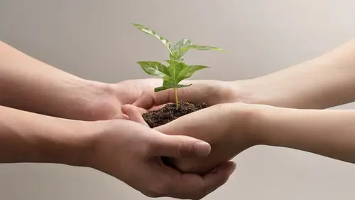 Самым добрым людям часто труднее всего найти близких друзей, и причина не в них самих