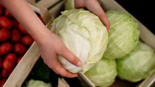 Капуста не будет портиться месяцами: вот где ее нужно хранить