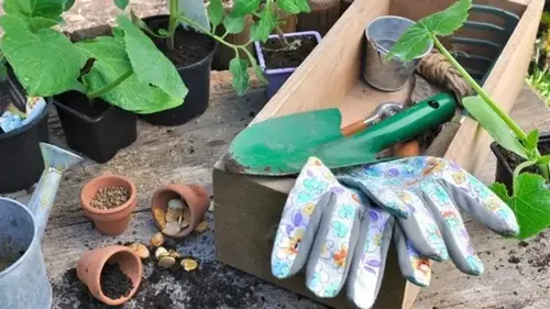 Что обязательно нужно сделать в мае на огороде, в саду