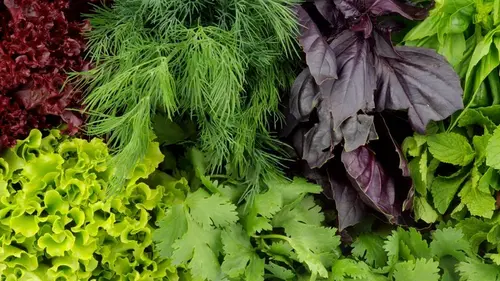 5 продуктов, которые содержат гораздо больше полезных веществ, чем салат-латук