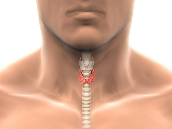 Гипотиреоз щитовидной железы – симптомы и лечение