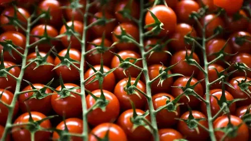 Их едят люди, доживающие до 100 лет: 5 продуктов для долголетия