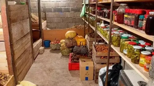Как подготовить погреб к зиме: три этапа, которые помогут сохранить урожай