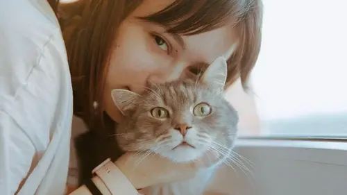 Шесть пород кошек, которые прекрасно ладят с детьми: самые кроткие любимцы