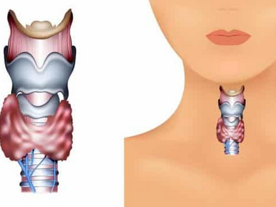 Какие гормоны щитовидной железы необходимо контролировать