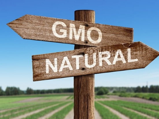Вред ГМО – мифы и реальность