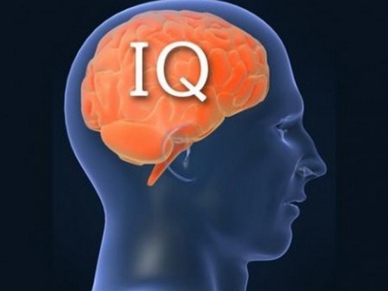 Как повысить IQ