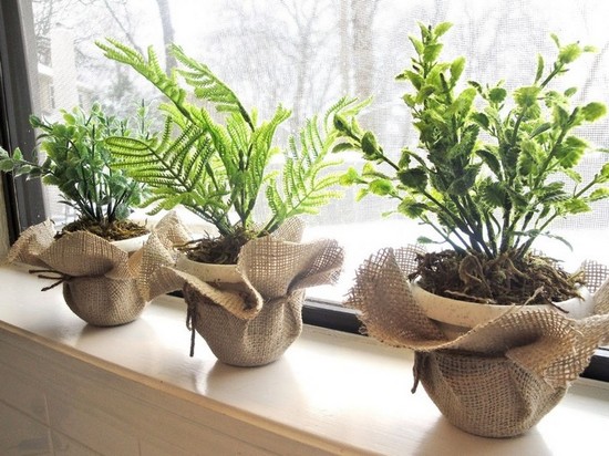 Как с помощью растений очищать воздух в помещение